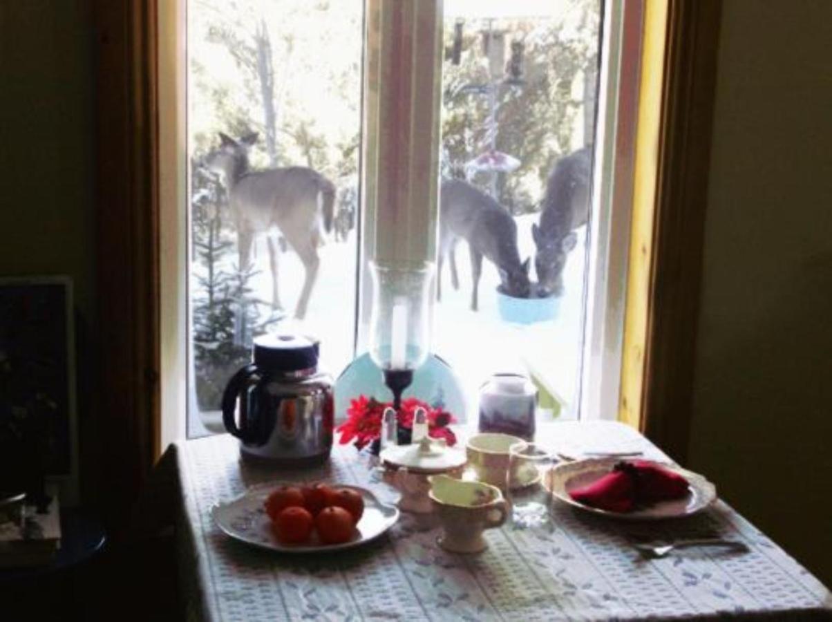 La Petite Douceur Bed & Breakfast Lac-Superieur Dış mekan fotoğraf
